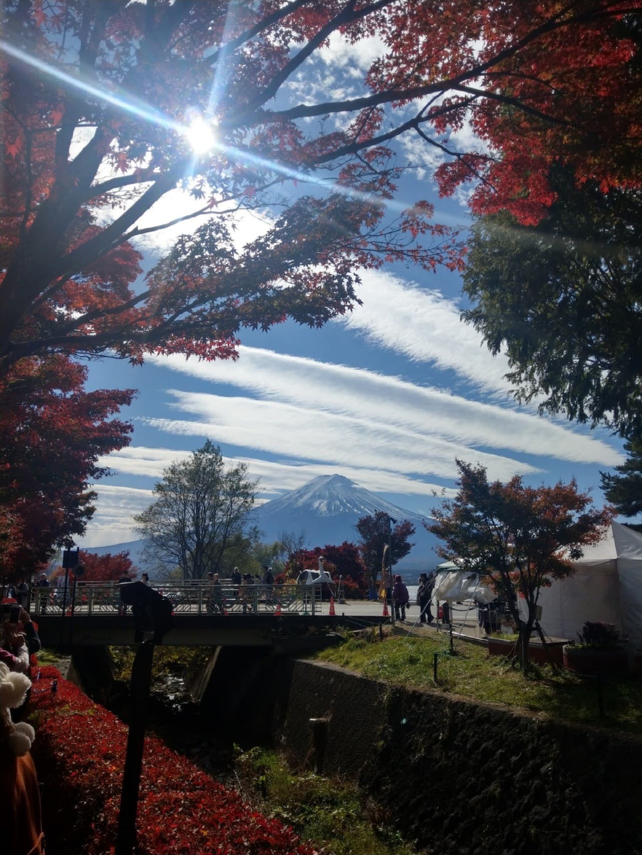 Mount Fuji Day Tour with Kawaguchiko Lake - image 3
