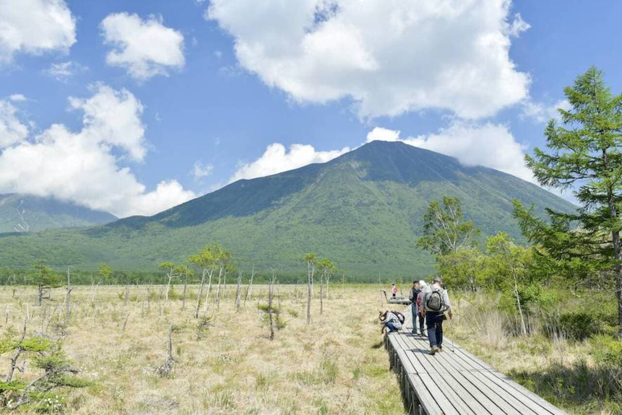 Nikko Pass All Area - imagen 6