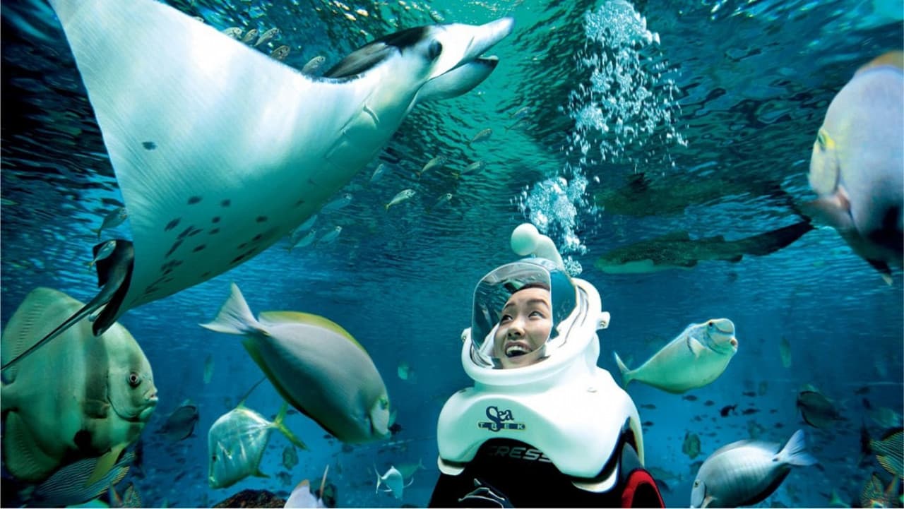 Ultimate Marine Life Experience at Adventure Cove Waterpark - image 2