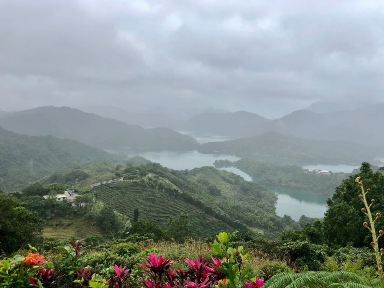 Pinglin Tea Culture and Maokong Full-Day Tour from Taipei - image 5