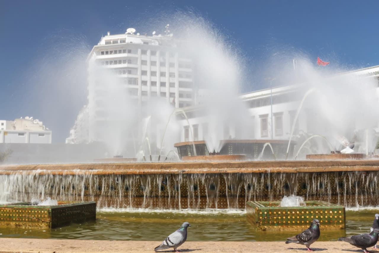 Casablanca Half-Day Tour: United Nations Square, Central Market, Royal Palace, Habbous Quarter - image 5