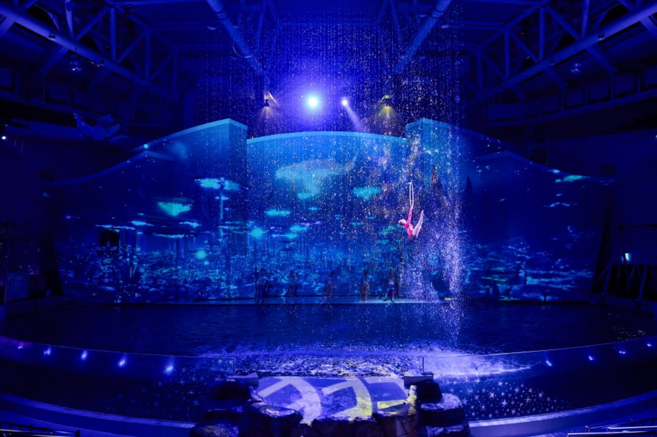 Aqua Planet Jeju Aquarium Ticket - 이미지 5