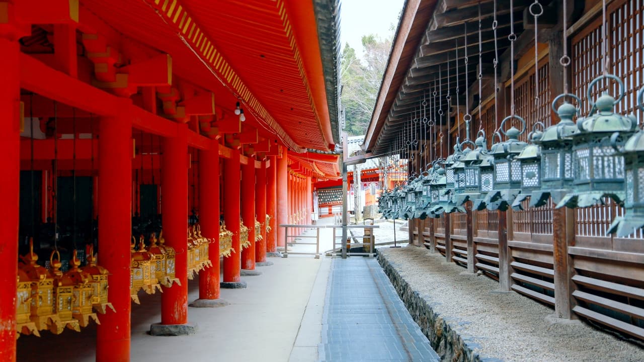 Kyoto and Nara Full-Day Tour from Osaka: Kiyomizudera Area, Fushimi Inari Taisha, Nara Park - image 5