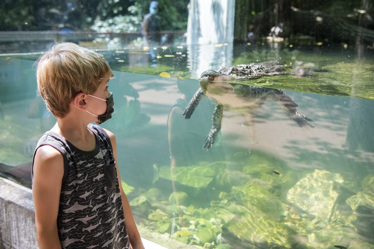 Bronx Zoo - image 2