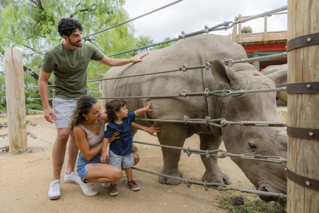 San Antonio Zoo Ticket - image 12