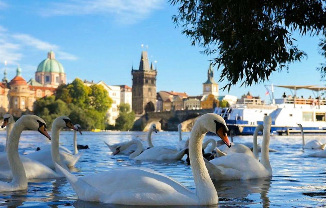 Prague River Cruise - image 2