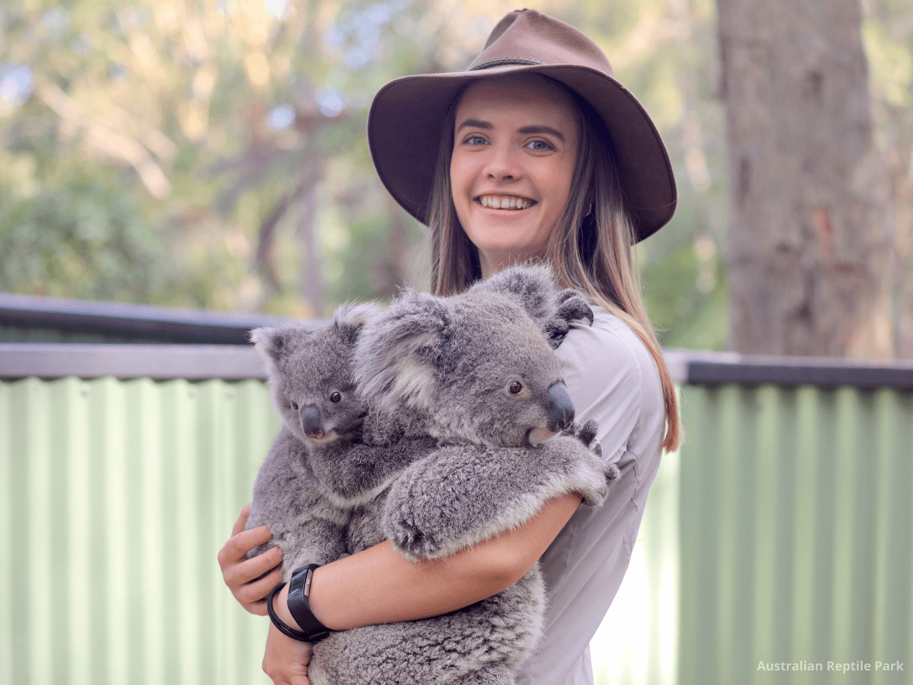 Australian Reptile Park - image 17