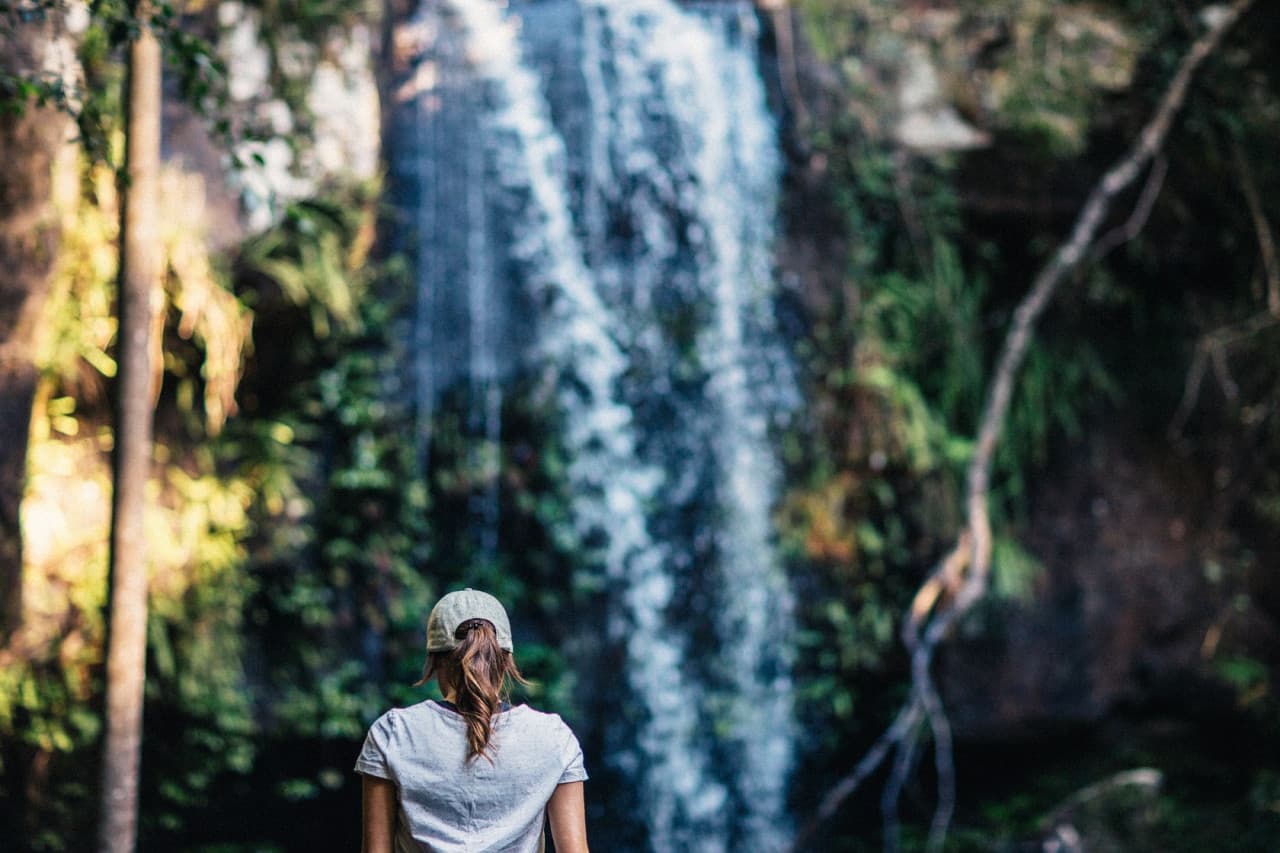 Tamborine Mountain Guided Walk and Wine Tasting Tour - imagen 5