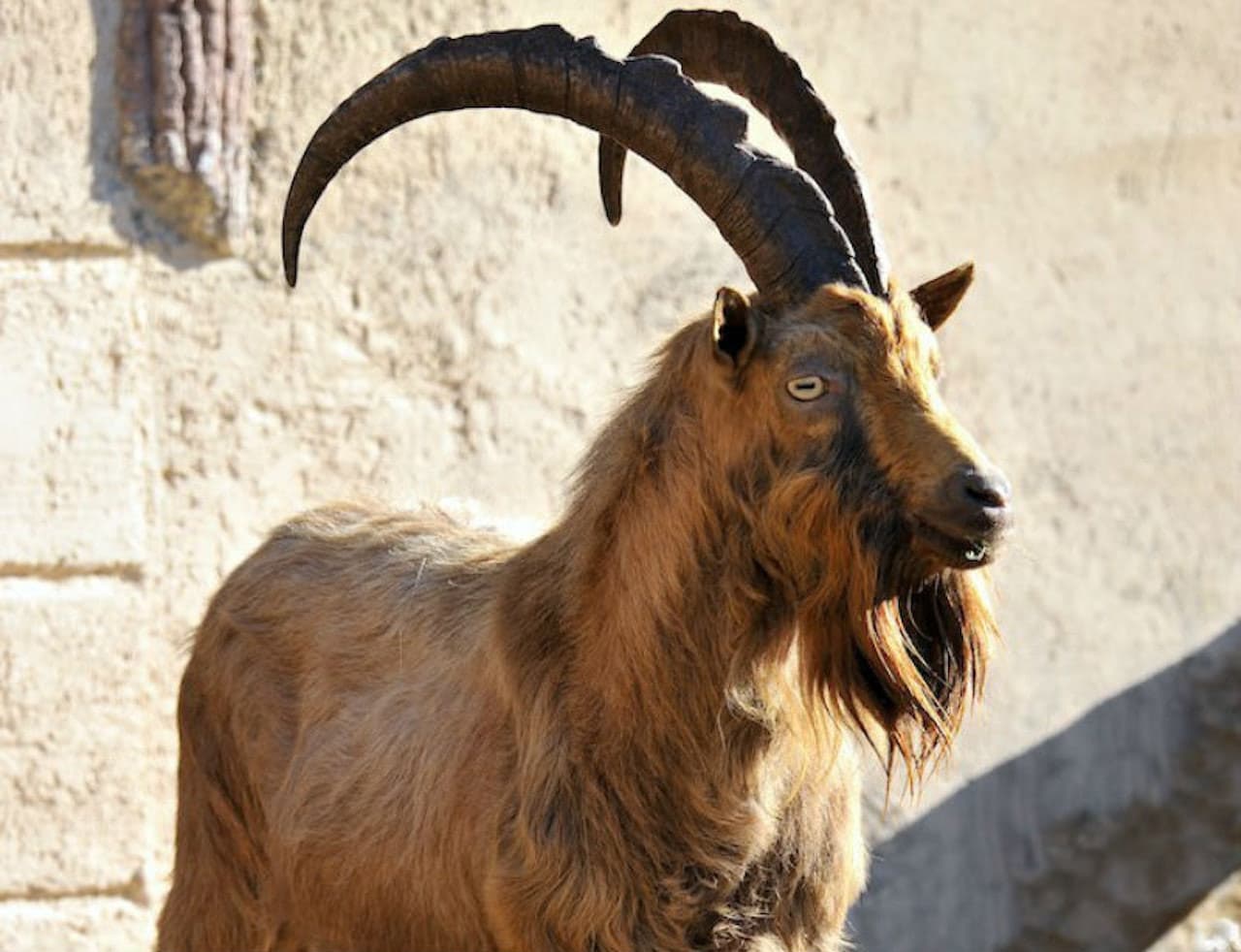 Bioparco: The Zoo of Rome - image 10