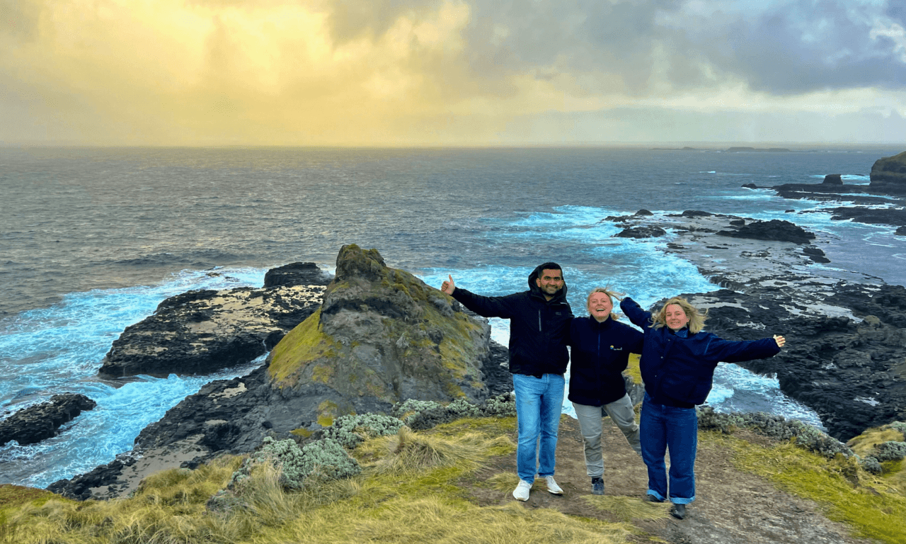 Phillip Island with Penguin Parade Eco Tour - image 35