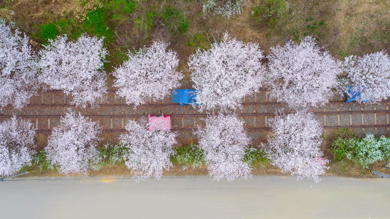 Nami Island, Mount Seorak, and Gapyeong Rail Bike Full-Day Tour from Seoul - image 16