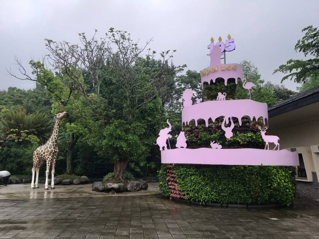 Taipei Zoo - image 4