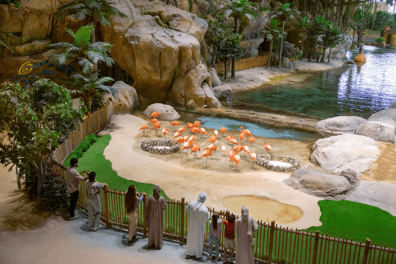 Entrada a SeaWorld Abu Dhabi - imagen 6