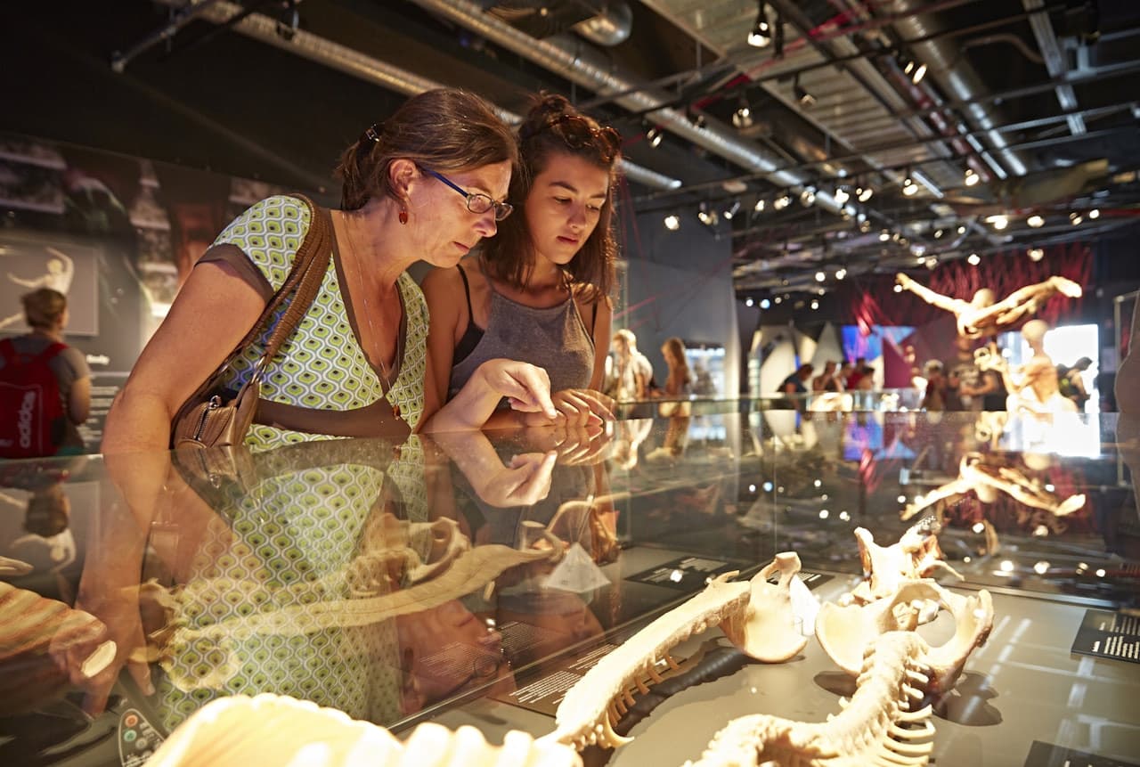 BODY WORLDS Berlin - image 2