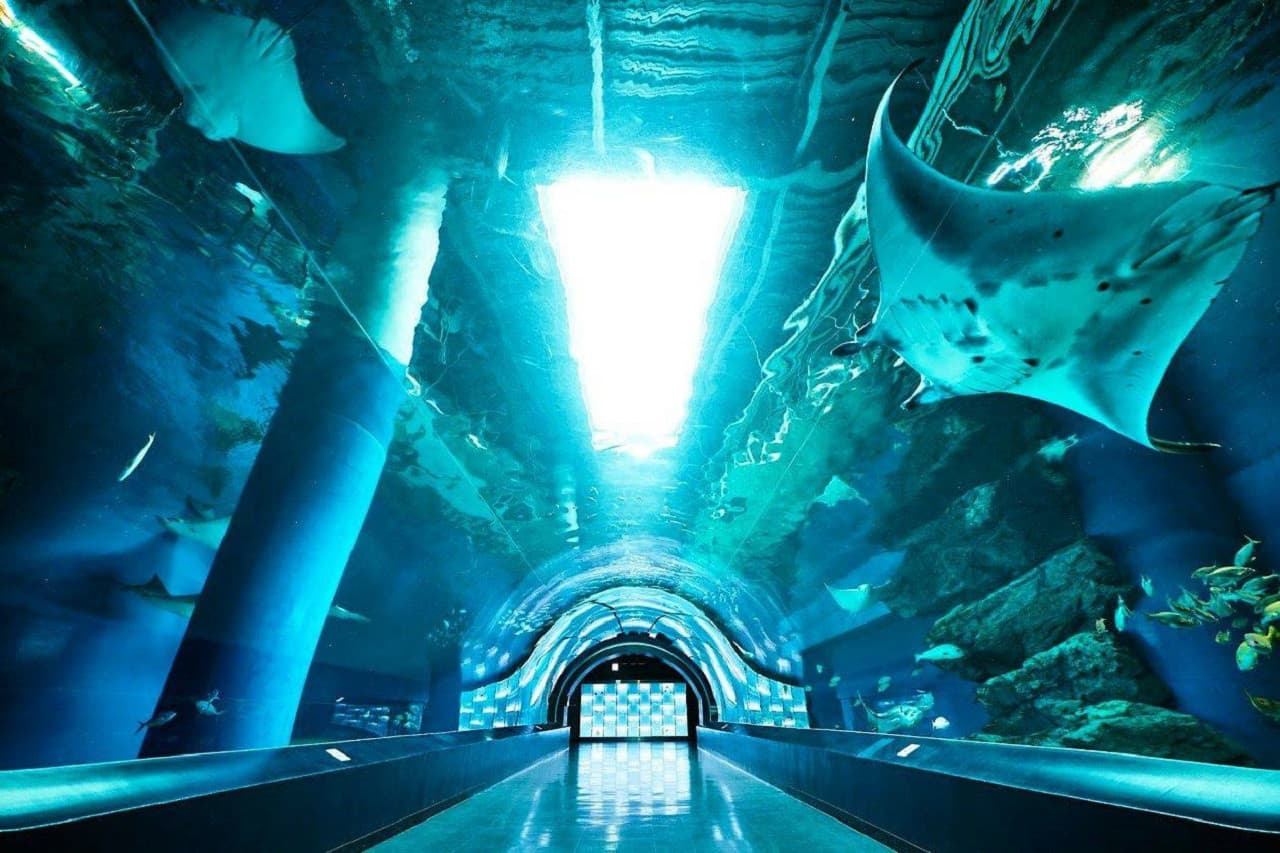 Maxell Aqua Park Shinagawa - image 4