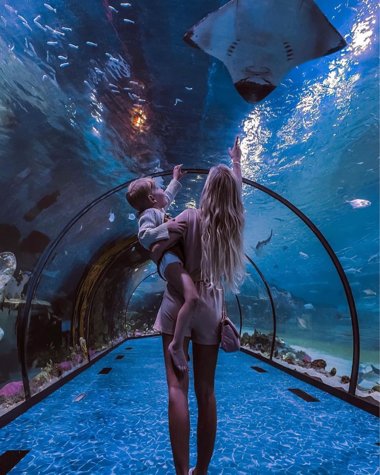 Entrada al National Aquarium Abu Dhabi - imagen 15