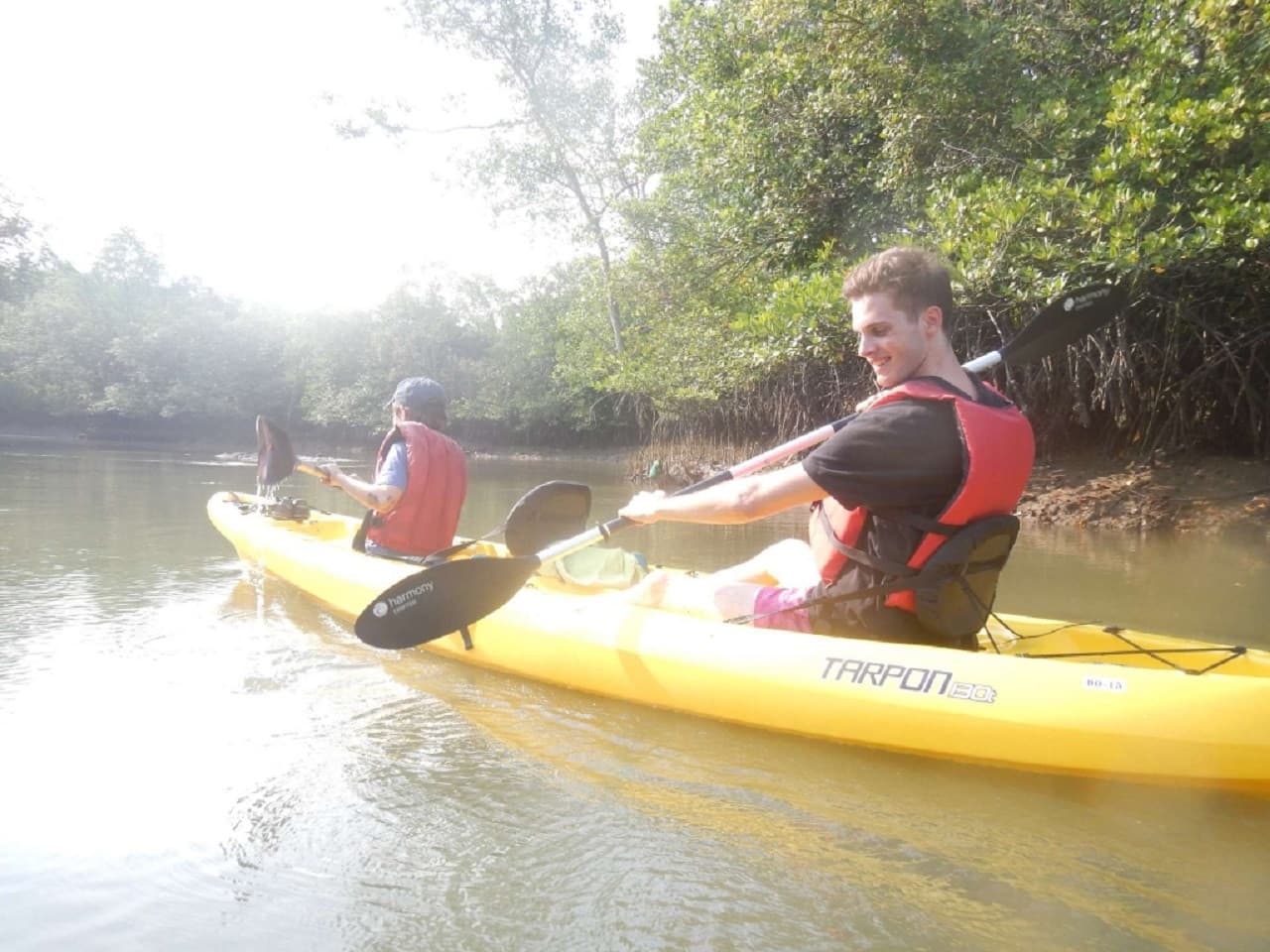 Pulau Ubin Kayaking - image 2