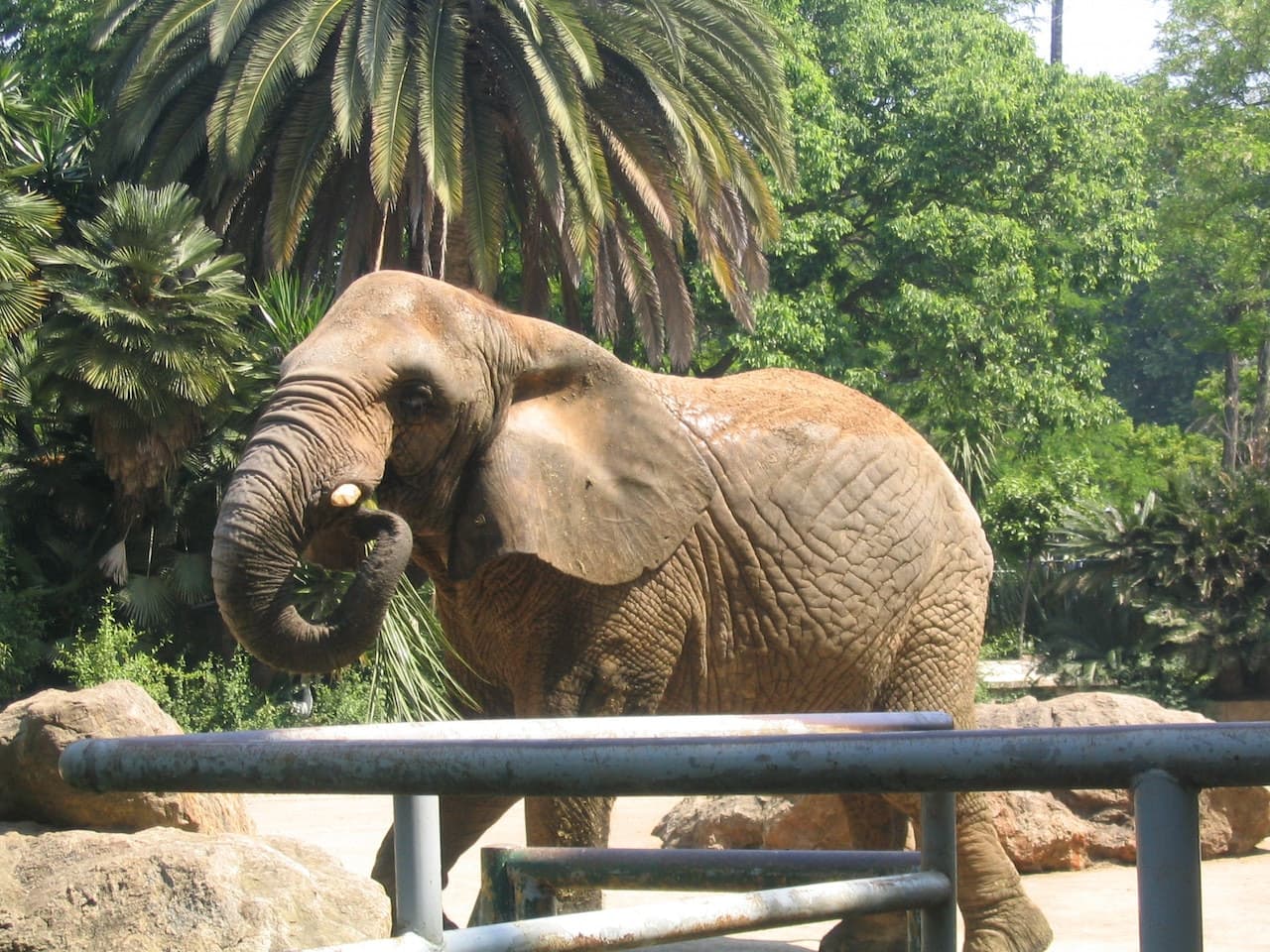 Barcelona Zoo - image 8