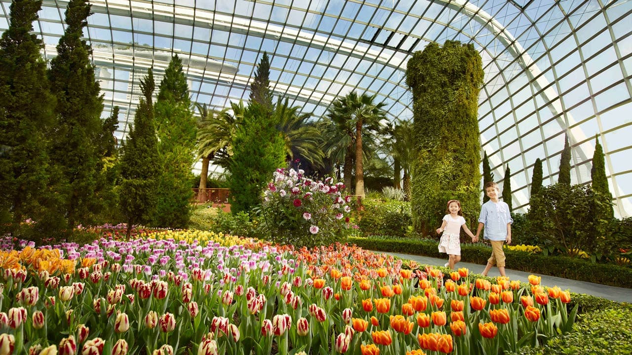 COMBO: Gardens by the Bay + Marina Bay Sands SkyPark Observation Deck + ArtScience Museum Tickets - image 4