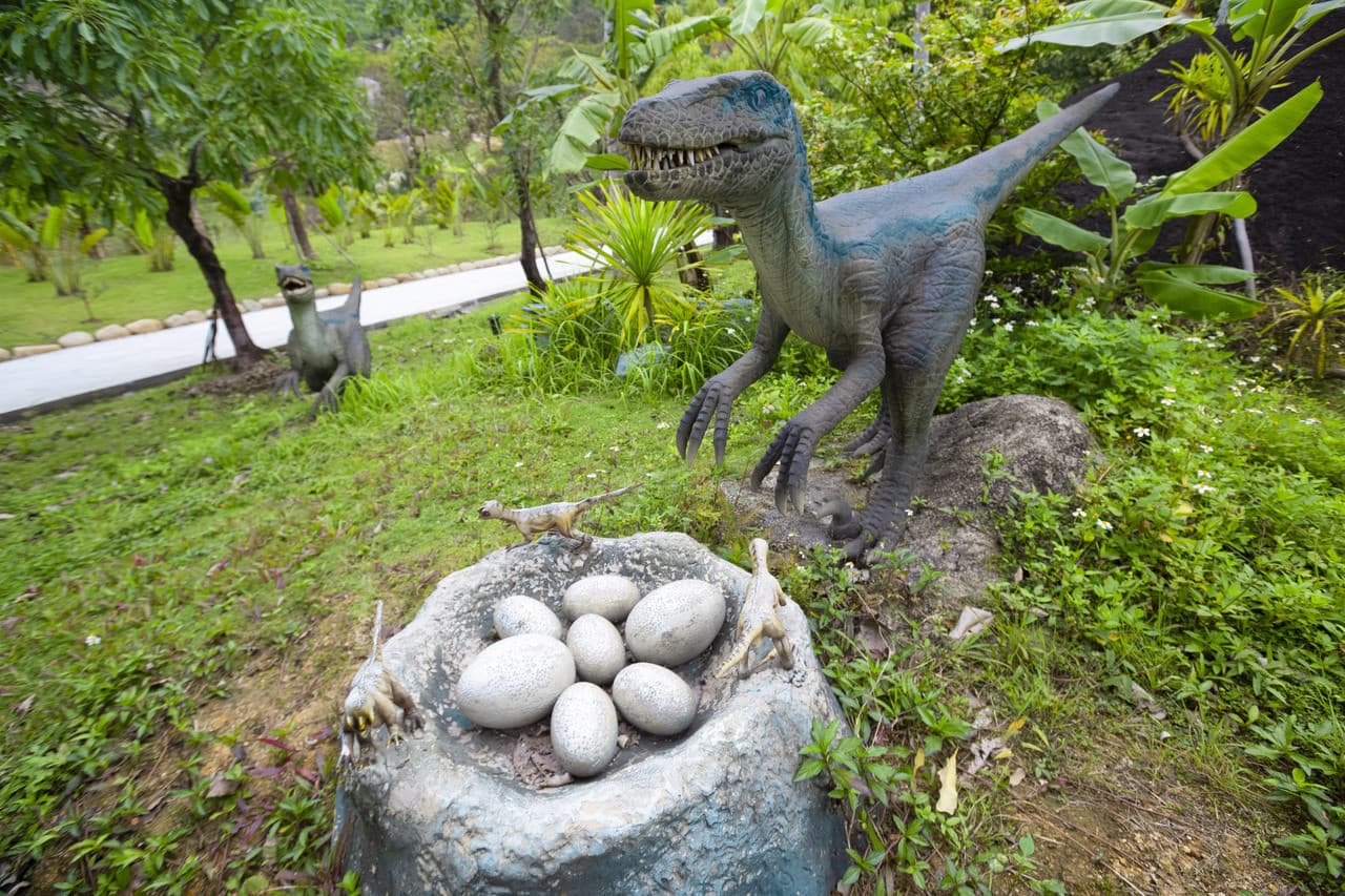 Nui Than Tai Hot Springs Park Tour - image 12