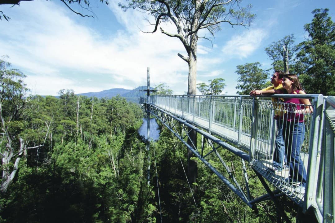 Huon Valley Tour - image 2