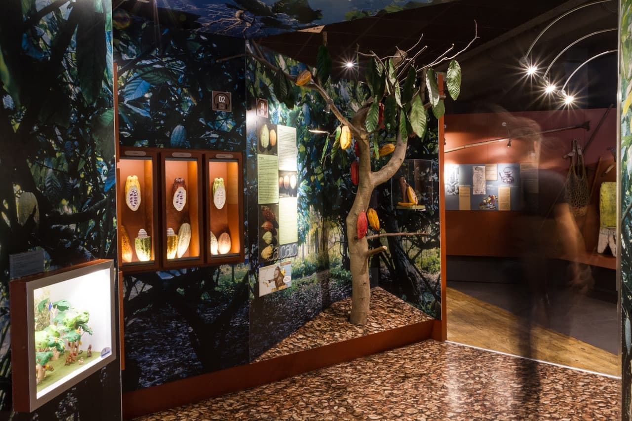 Chocolate Museum – Choco-Story Paris - image 5