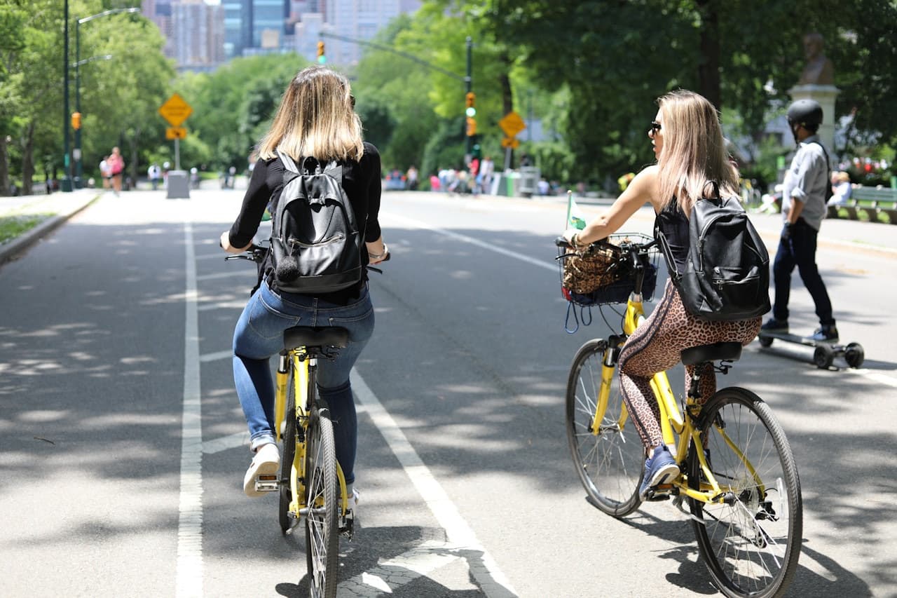 New York City Bike Rental in Central Park - image 16