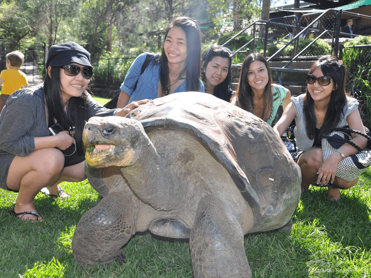 Australian Reptile Park - image 11