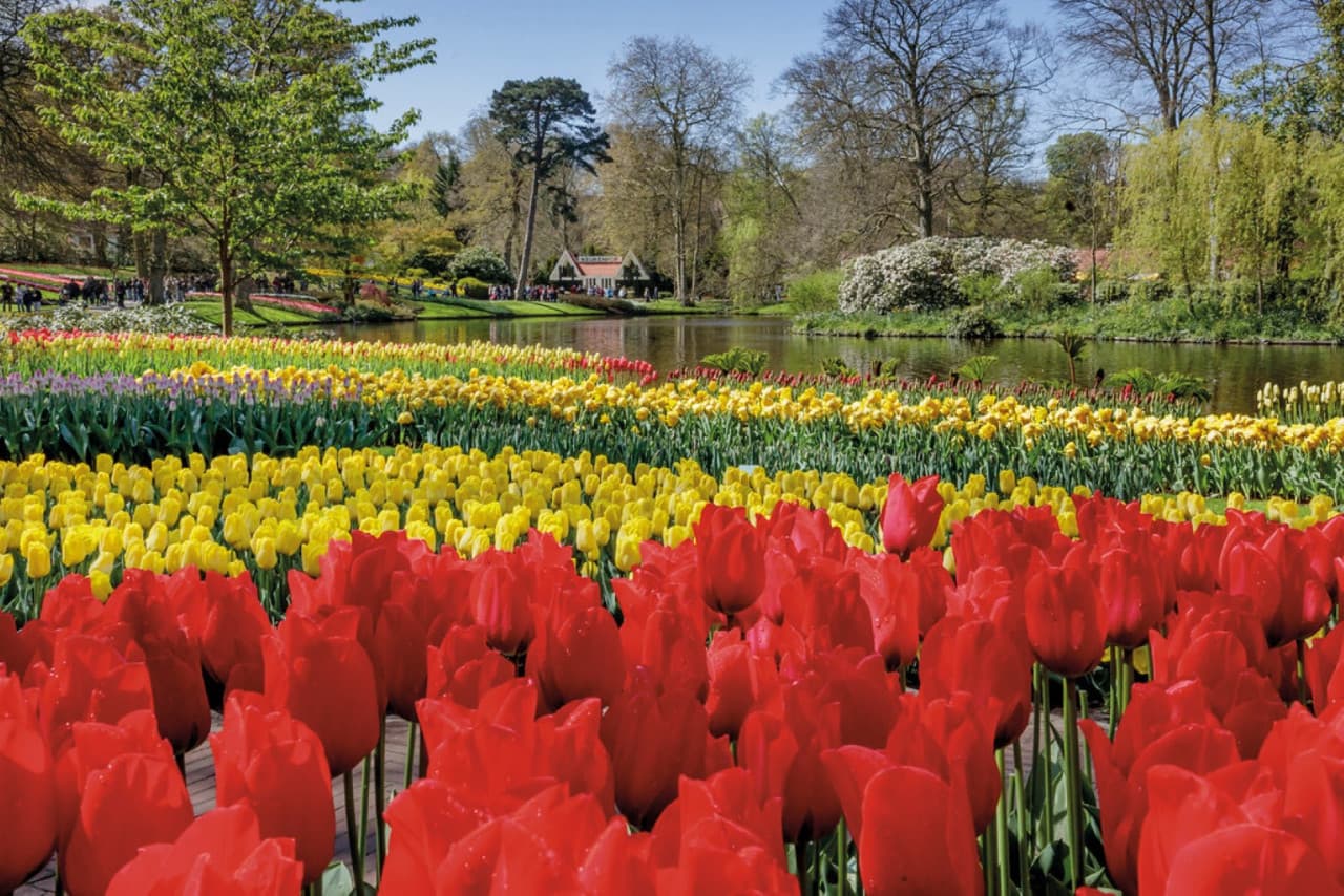 Keukenhof Gardens Ticket with Round Trip Bus Transfer from Amsterdam - image 8