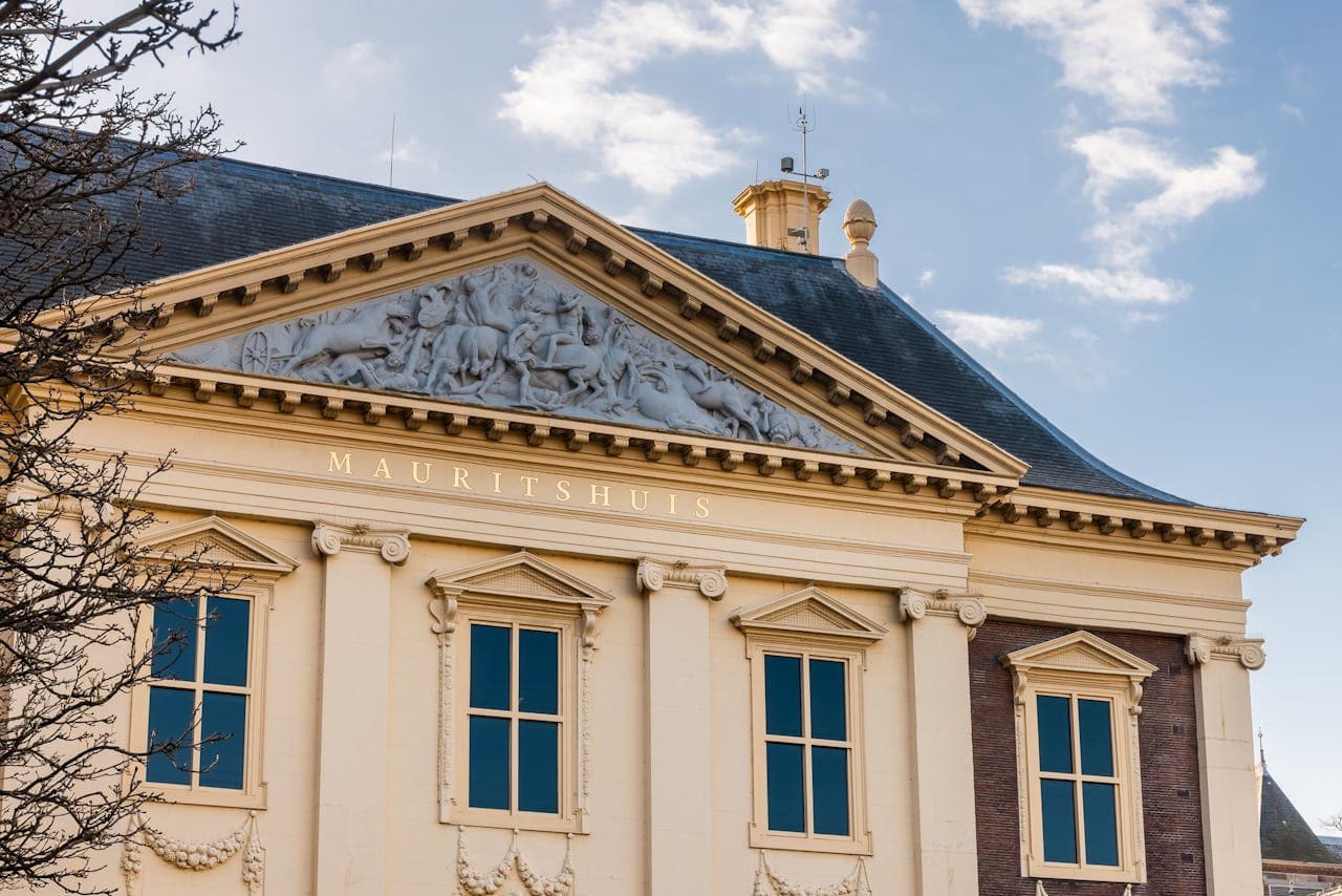 The Mauritshuis Museum Ticket - image 7