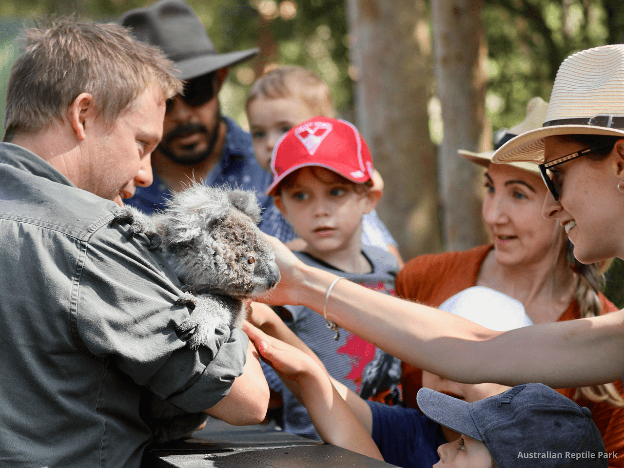 Australian Reptile Park - image 44