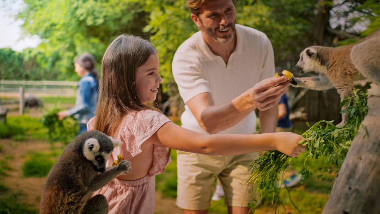 Dubai Safari Park Ticket - image 23