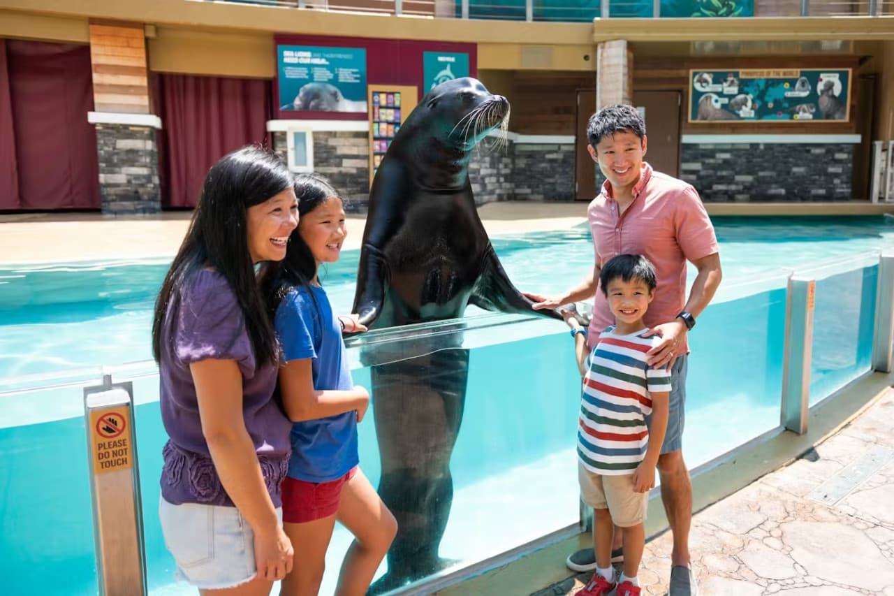 SeaWorld Orlando Ticket: Direct Entry + Optional All-Day Dining Deal + Multi-Park Discount Ticket - image 7