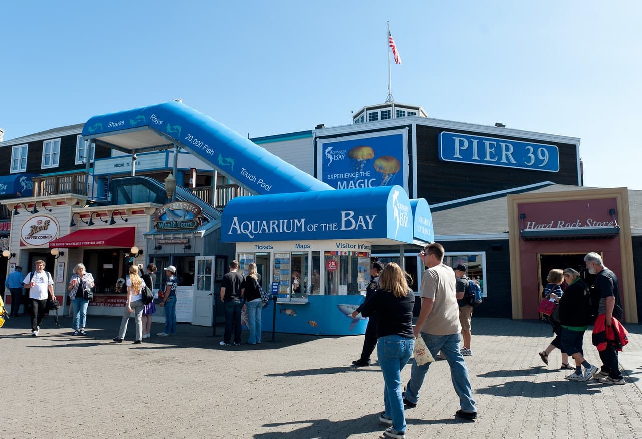 Aquarium of the Bay Ticket - image 3
