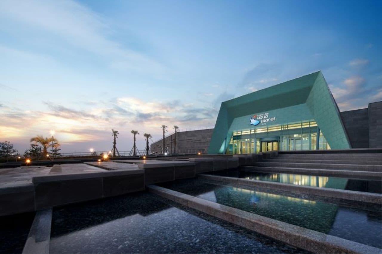 Aqua Planet Jeju Aquarium Ticket - 이미지 18