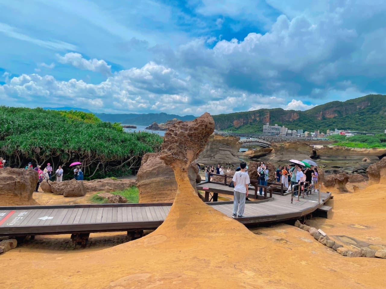 Yehliu, Jiufen, and Shifen Full-Day Tour from Taipei - image 5