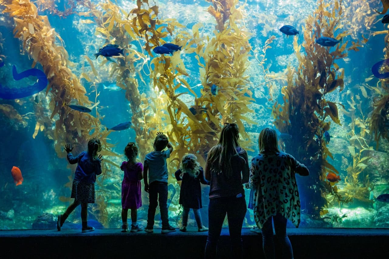 San Diego CityPASS - image 2