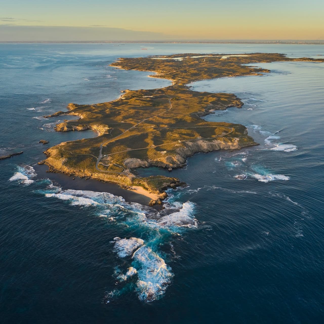 Rottnest Island Bayseeker Bus Tour with Round Trip SeaLink Ferry Transfer - image 5