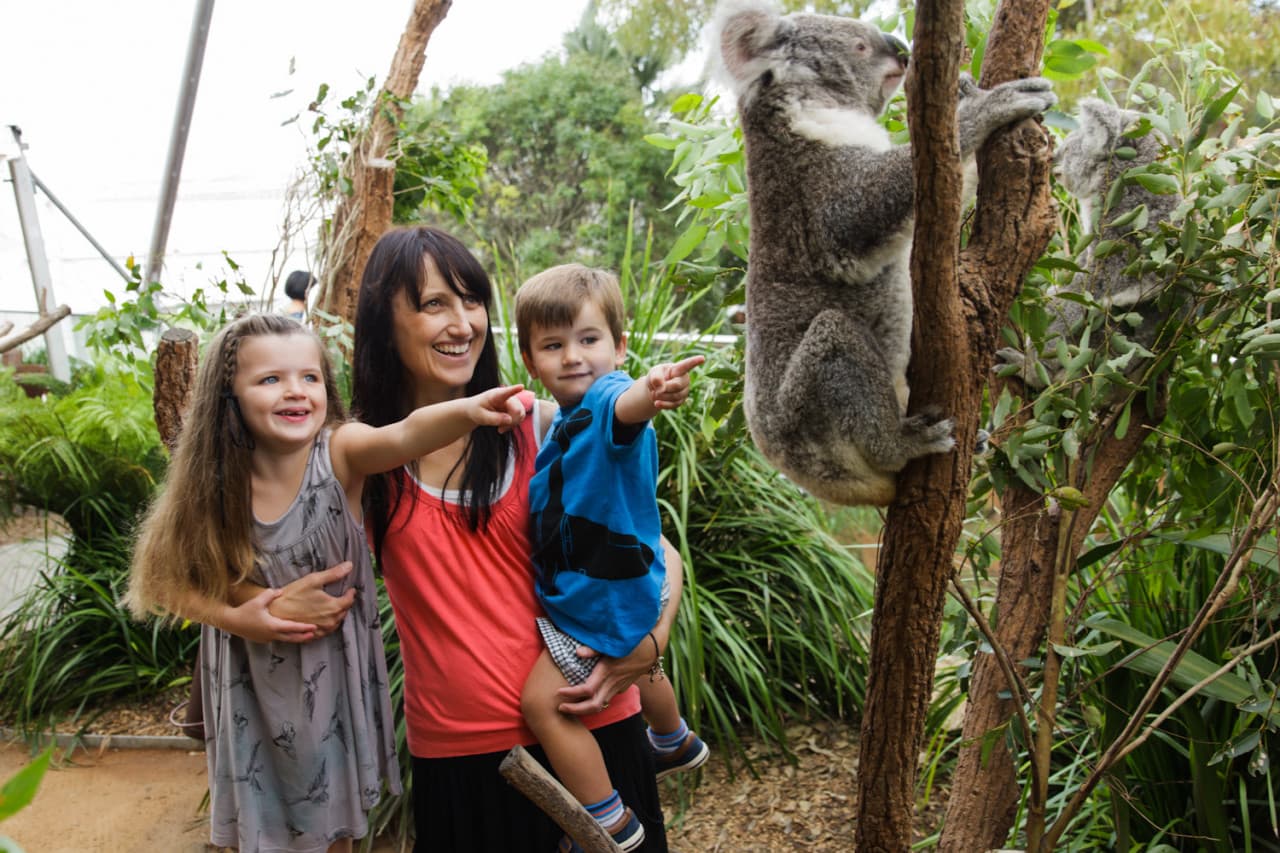 WILD LIFE Sydney Zoo Direct Entry Ticket - image 2