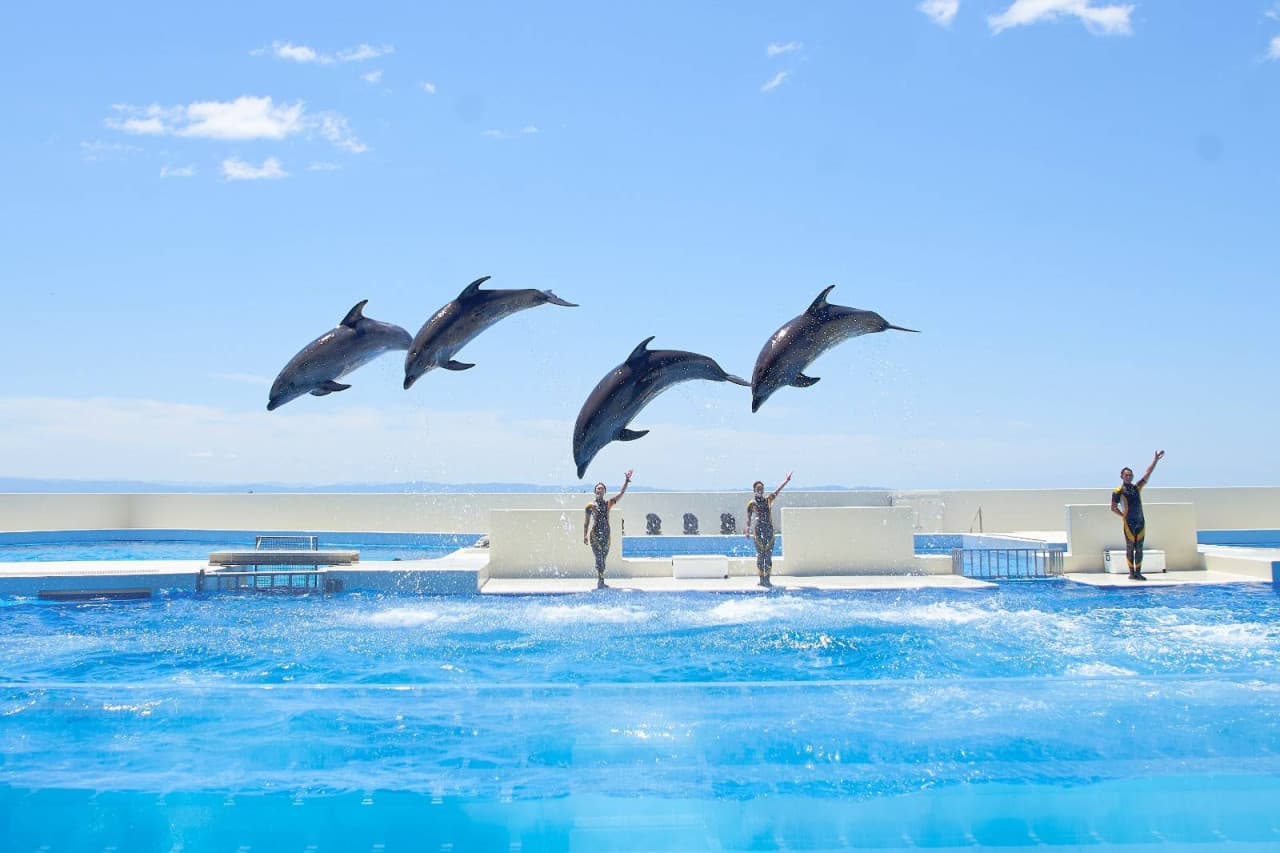 Kobe Suma Sea World Ticket - image 2