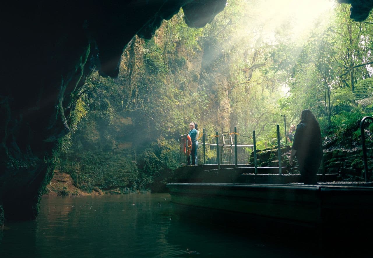 Waitomo Glowworm Caves Guided Tour - image 2