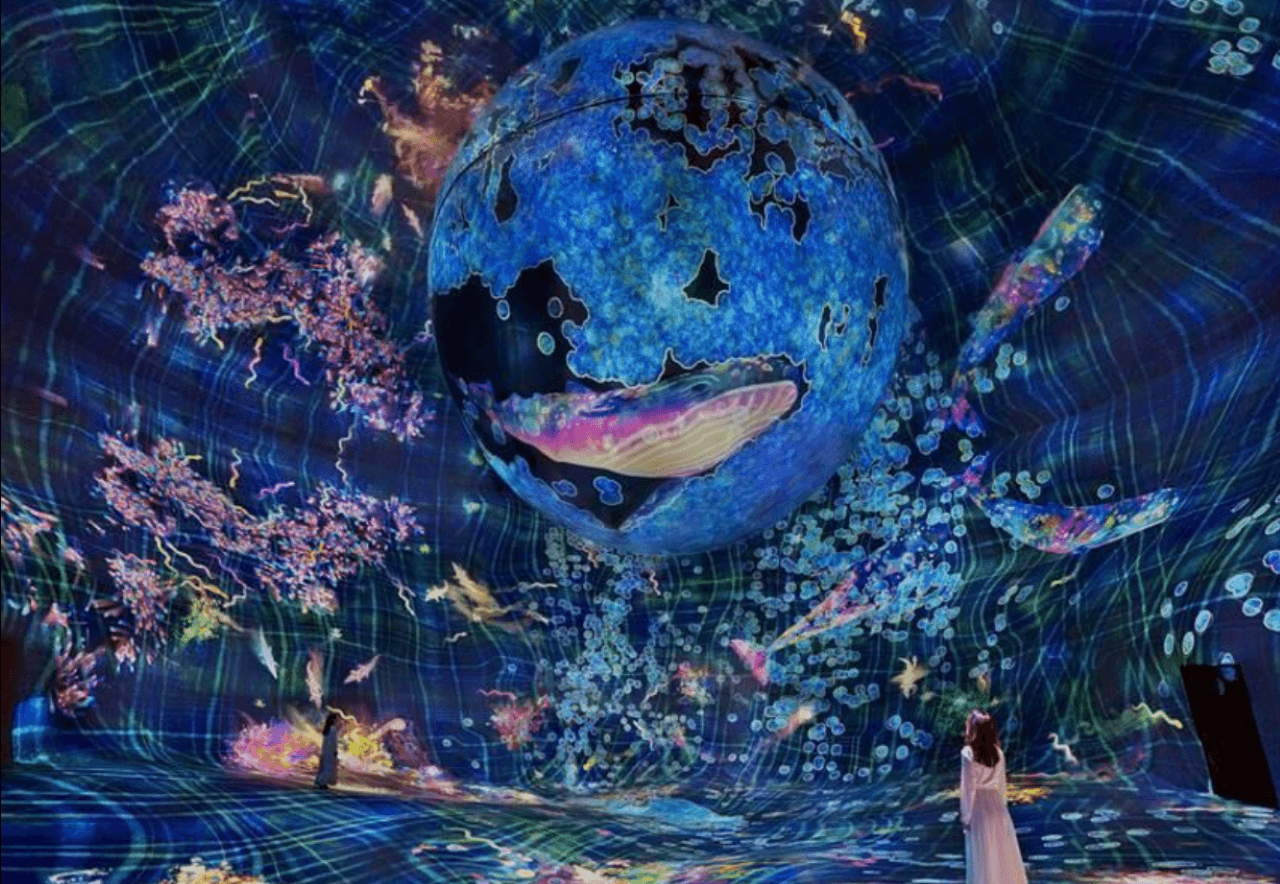 teamLab Phenomena Abu Dhabi Ticket - image 6