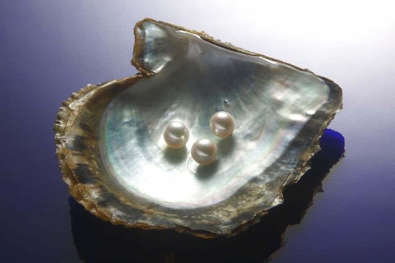 Mikimoto Pearl Island Ticket - image 2