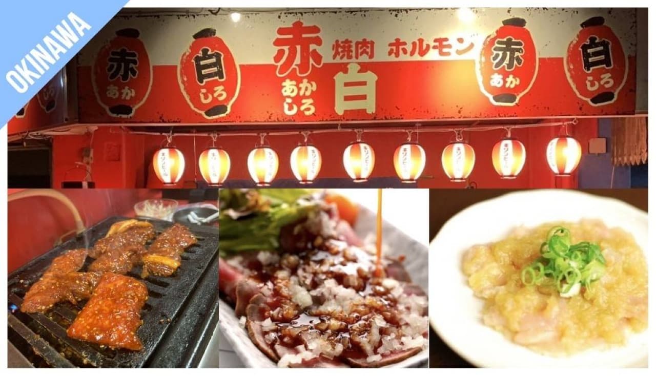 Have Fun in Okinawa Pass - 1 Week Free Pass - image 13
