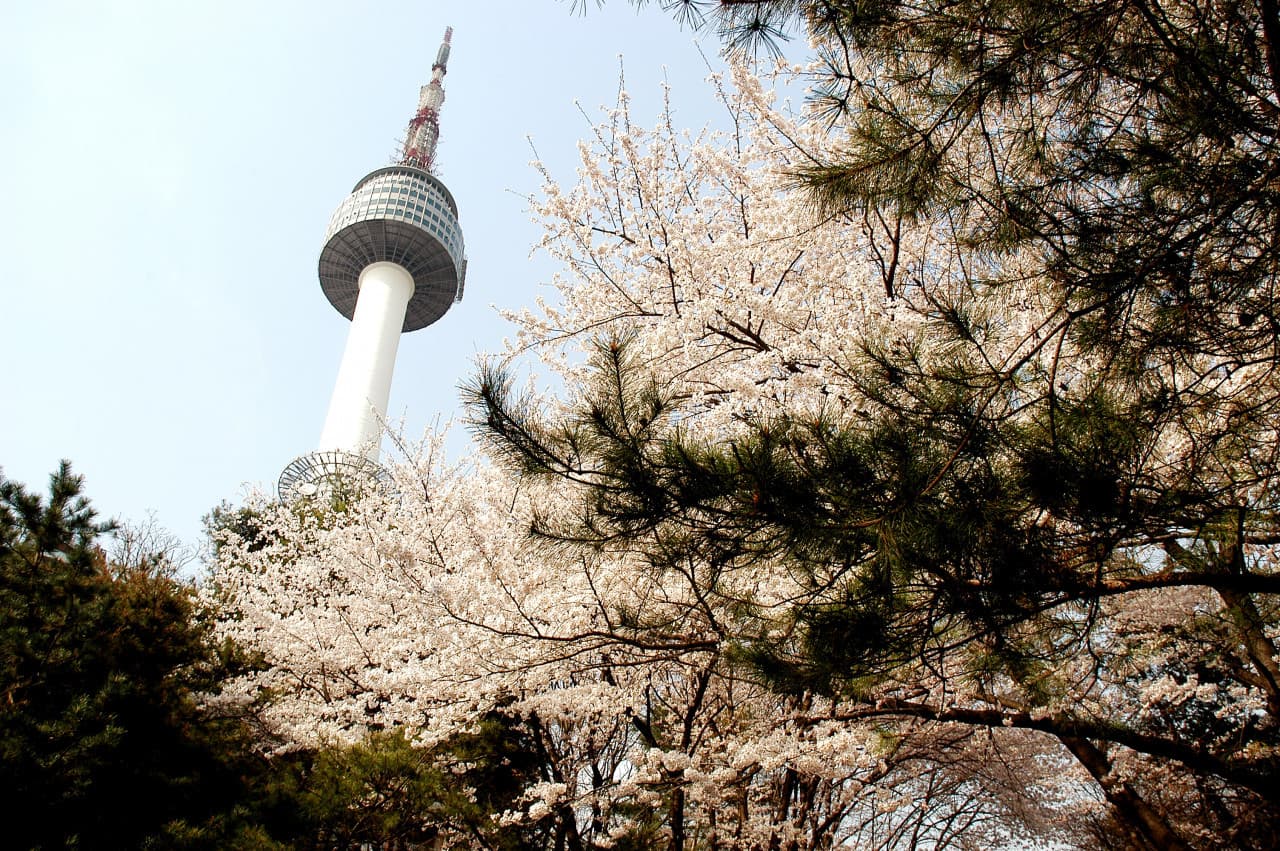 COMBO: AREX Incheon Airport Express Train + N Seoul Tower Observatory - 이미지 10