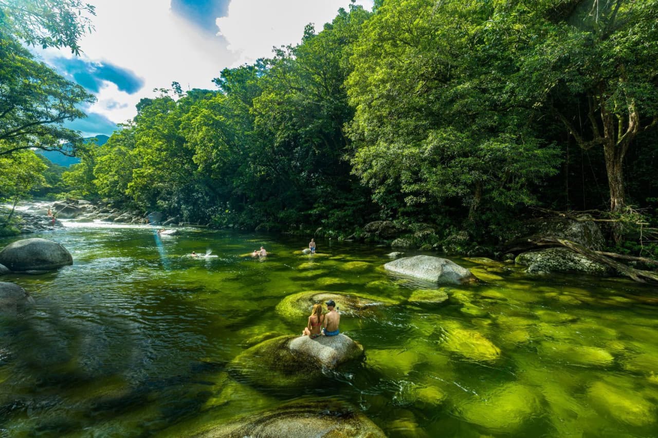 Daintree, Mossman Gorge, and Wildlife Habitat Port Douglas Full-Day Tour - image 4