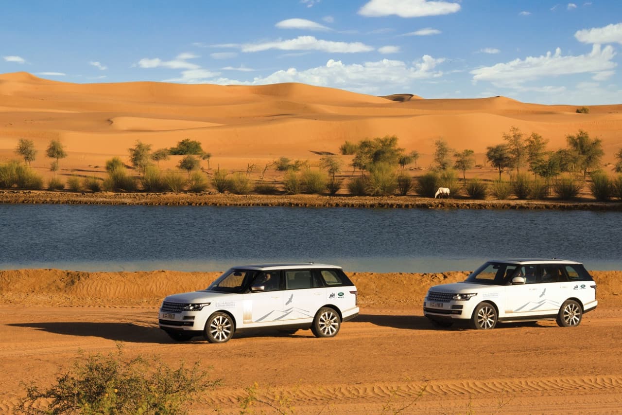 Dubai Desert Conservation Reserve Tour - main image