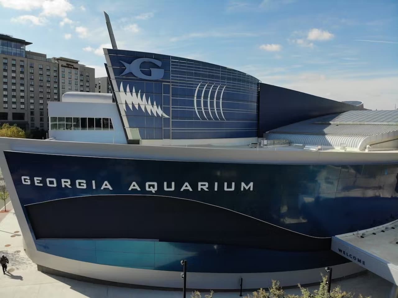 Georgia Aquarium: Fast Track Ticket - image 9