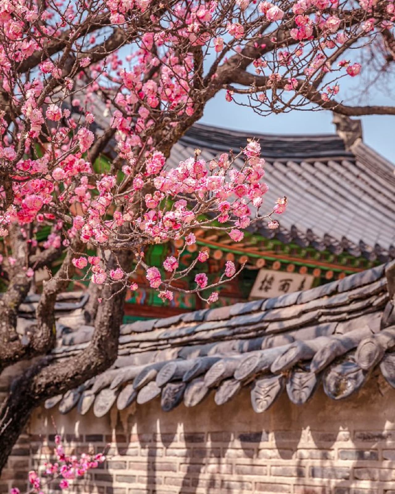 Discover Seoul Pass - image 18