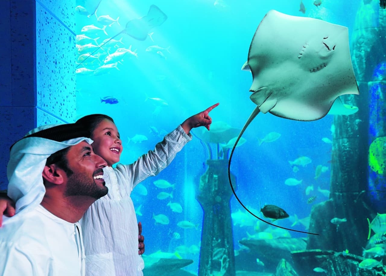 COMBO: The View at The Palm + Lost World Aquarium - image 3